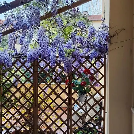 Le Nove Muse 4* Florencia